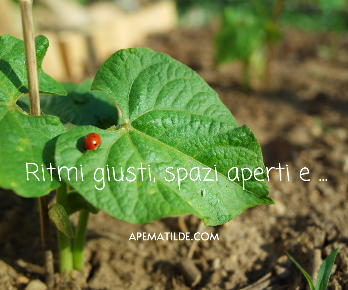 Perchè tanta fatica nell'orto didattico?