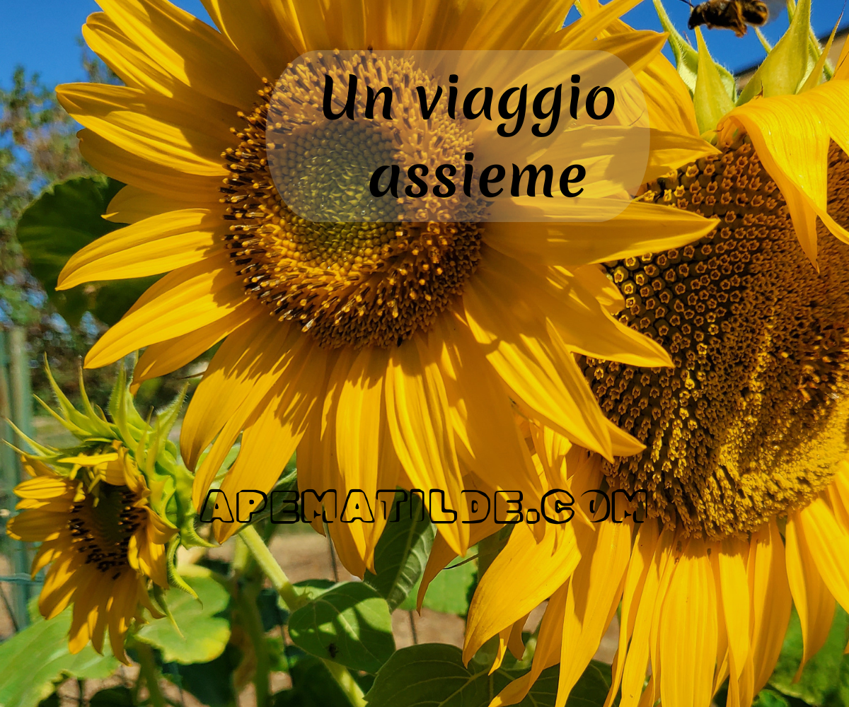 Un viaggio educativo tra natura e conoscenza